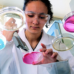 A major field of research