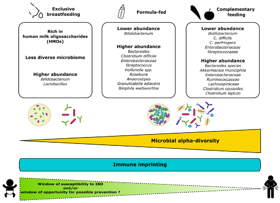 Rôle de l’allaitement maternel dans le risque de développement des maladies inflammatoires chroniques de l’intestin